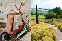 MaisonOlive Bikes MaisonOlive Bikes