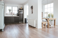 PhilipsvanWassenaerlaan Kitchen