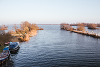 PhilipsvanWassenaerlaan Lake