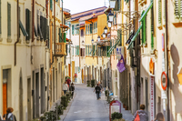 AlGelsoBianco 21