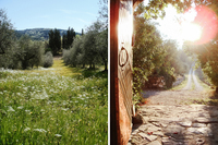 PatrigoneResidence Exterior03 PatrigoneResidence Exterior03