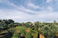 PatrigoneResidence Gardens PatrigoneResidence Gardens