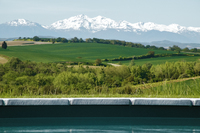 MaisonOlive View MaisonOlive View