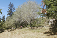 MoustiersSt MoustiersSt