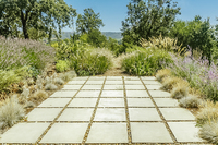 DryCreekResidence Patio