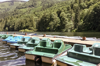 FrostCreekCabin Paddleboats