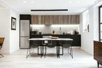 WebsterResidence Kitchen