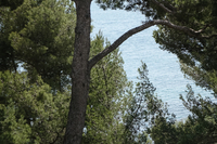 AlouettesResidence View