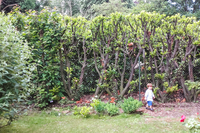 SaintCloudResidence Garden SaintCloudResidence Garden