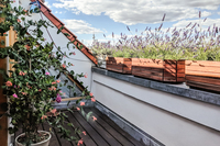 KreuzbergResidence Terrace