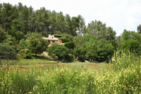 TowerRoad Exterior TowerRoad Exterior