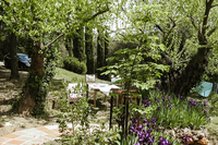 TowerRoad Nature TowerRoad Nature