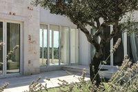 TrulloPiccolo Exterior