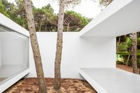 The Gil Vicente Residence