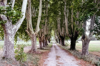 TheBlancherieResidence Driveway TheBlancherieResidence Driveway