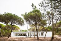 The Gil Vicente Residence