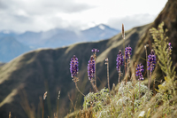 PeruEcoCamp 4 PeruEcoCamp 4