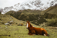 PeruEcoCamp 12 PeruEcoCamp 12