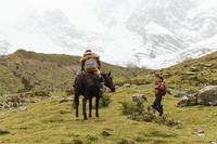 PeruEcoCamp 14 PeruEcoCamp 14