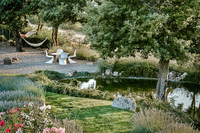 PODERE PALAZZO A2 GARDEN POOL