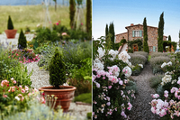 PODERE PALAZZO A6 GARDEN POOL