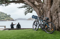 GabrielResidenceTheLanding Bikes