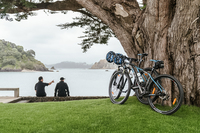 BoathouseResidence Bikes