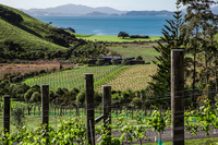 BoathouseResidence Vineyard
