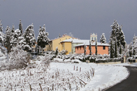 TheCasaAlina Snow