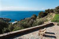 OliveTreeResidence Terrace3