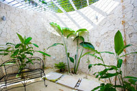 The Allamanda Villa 