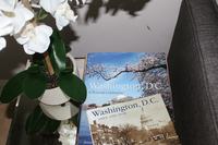 TheIStreetResidence 17 TheIStreetResidence 17