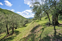 TheSantaChiaraResidence 10 TheSantaChiaraResidence 10