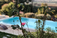 ThePacianoResidence ThePacianoResidence