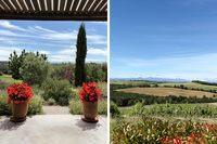 TheLeSarrailEstate 23 TheLeSarrailEstate 23