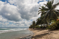The Punta del Mar Residence