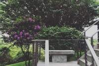 The Freemont Place Residence