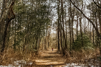 DriftwoodDriveResidenceNew 5 DriftwoodDriveResidenceNew 5