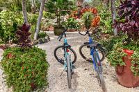 SandcastleVilla CAM bicycle26