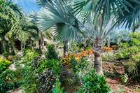 SandcastleVilla Ext Front Yard33