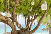 SandcastleVilla Tamarind Lights32
