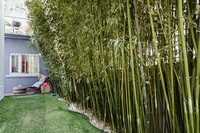 CalcadadosMestresResidence 5