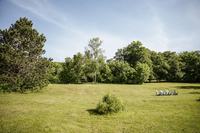 TheWindhamMountainResidence 4 TheWindhamMountainResidence 4