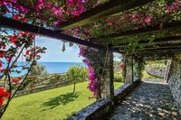 TheCannicelleVilla 160110 TheCannicelleVilla 160110