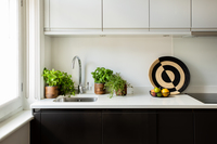 APT 6 Kitchen