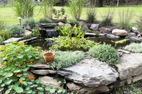 pond edited pond edited