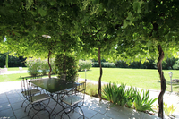 patio dining