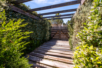 Comporta 24 Comporta 24