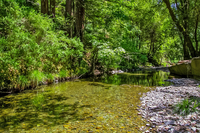 Amenities 1 Amenities 1