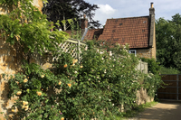 side garden